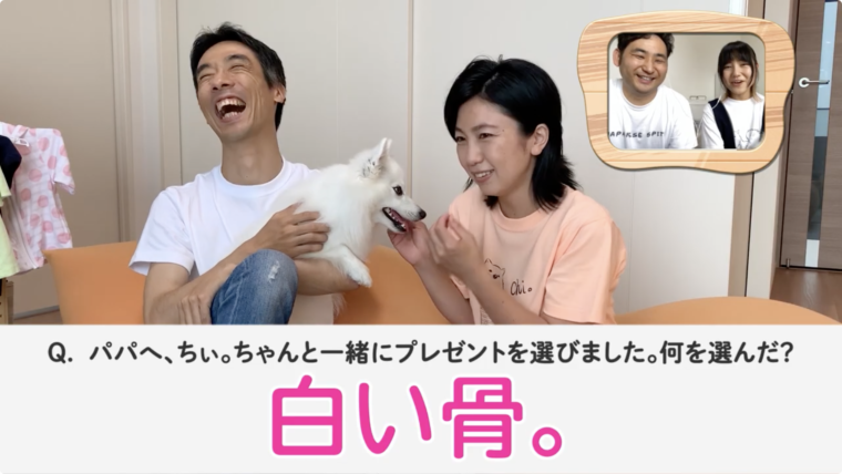 日本スピッツちぃ に聞く 100の質問 日本スピッツちぃ