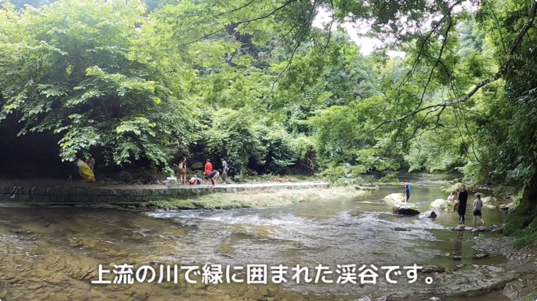 養老渓谷 粟又の滝 で初めての川遊び 愛犬がめちゃめちゃ笑顔で楽しそうでした 笑 日本スピッツちぃ