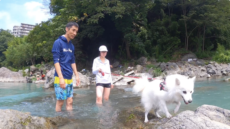 愛犬と川遊びをするときの持ち物と注意点 日本スピッツちぃ
