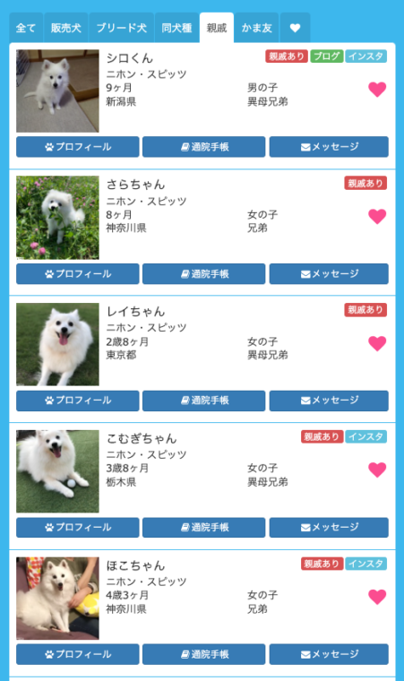 愛犬の兄弟犬 姉妹犬を探してみない 兄弟犬を検索ができる動物用sns２選 日本スピッツちぃ
