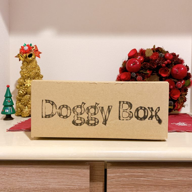 Doggy Box（ドギーボックス）】犬のおもちゃとおやつが毎月届くお
