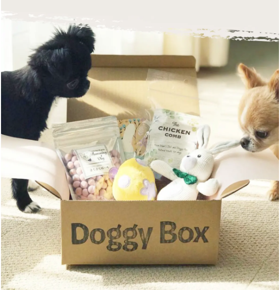Doggy Box（ドギーボックス）】犬のおもちゃとおやつが毎月届くお 