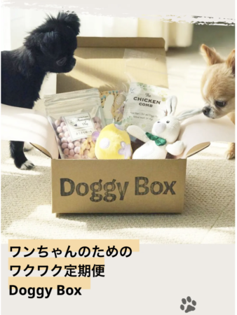 ドギーボックス9月号5点セット＋おやつ2点 - 犬用品