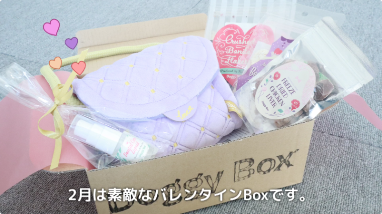 Doggy Box（ドギーボックス）2月号】バレンタインのプレゼントに愛犬へかわいいハンドバッグが届きました💕│日本スピッツちぃ。