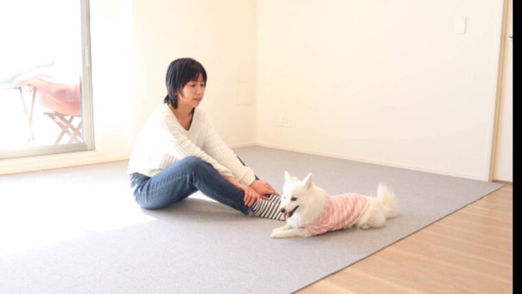 犬服を型紙からおこして手作りしてみた│日本スピッツちぃ。