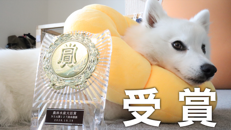 スピッツ様 おまとめ ご報告】日本スピッツ協会 第127回本部展にてBG（Best Group）を